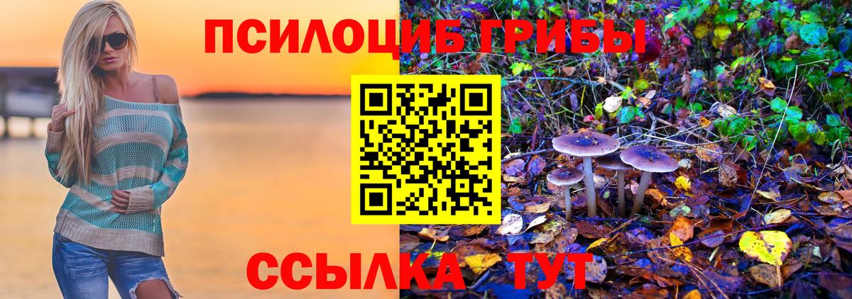 Галлюциногенные грибы прущие грибы Беслан