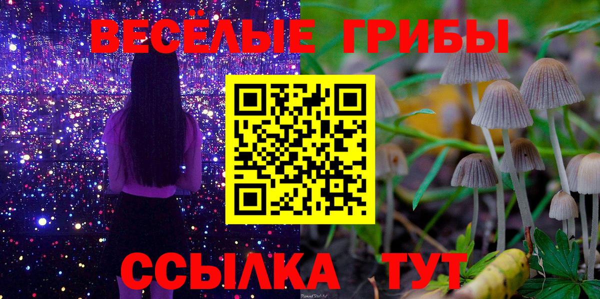 Галлюциногенные грибы прущие грибы  Вход с VPN  Беслан 